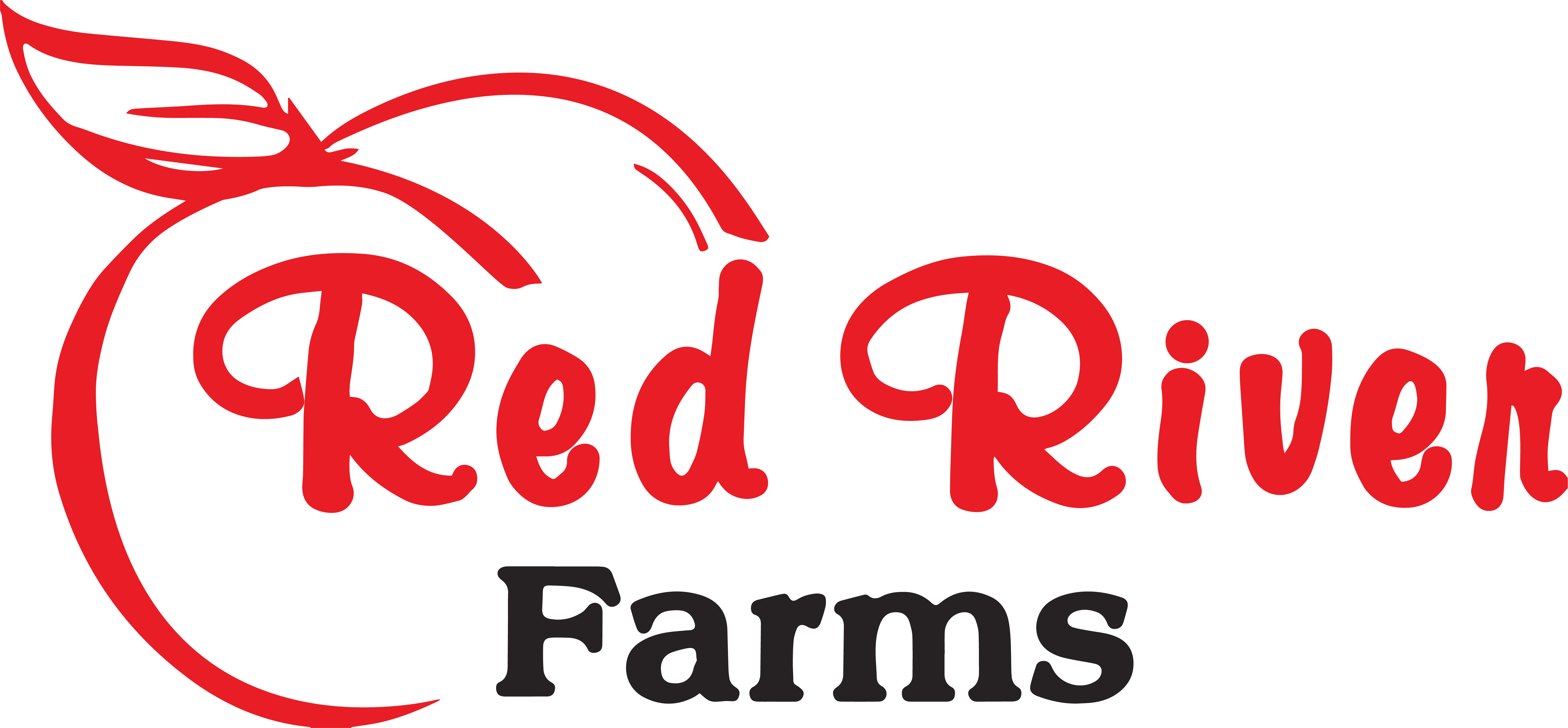 Night Out on the Farm